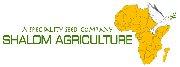 Hybrid Vegetable Seed Company Logo Image